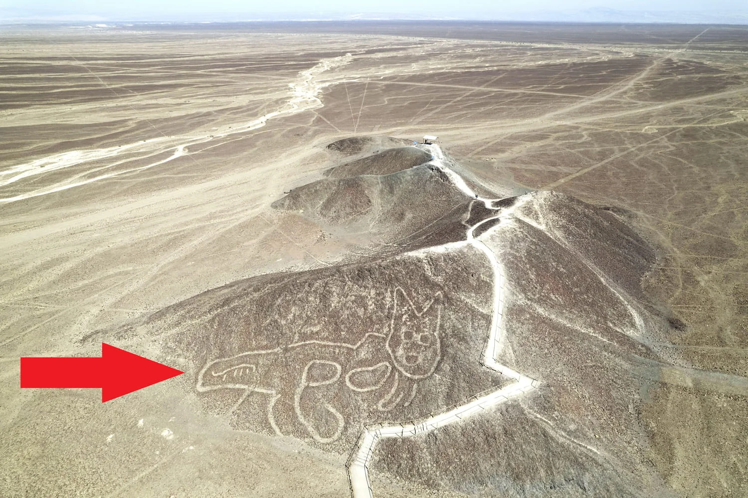 Das größte archäologische Rätsel ist gelöst: 300 seit 2000 Jahren verborgene Schätze dank KI entdeckt