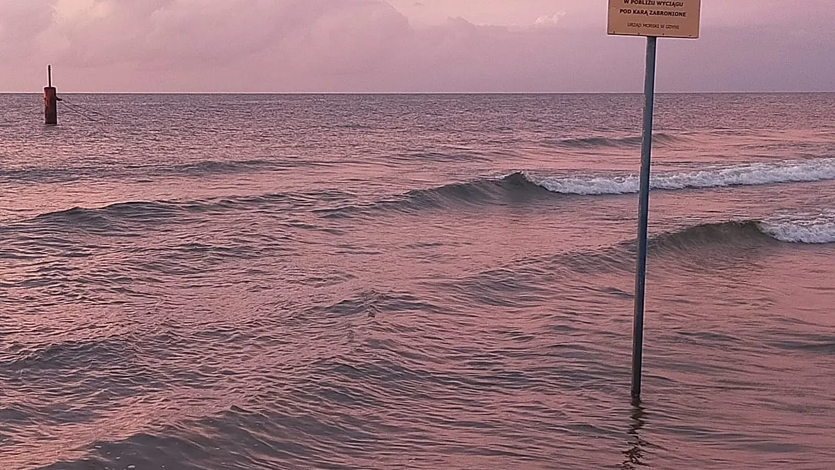 Die Ostsee leert sich: Ein dynamisches Riff verwandelt sich gerade in eine Unterwasserwüste