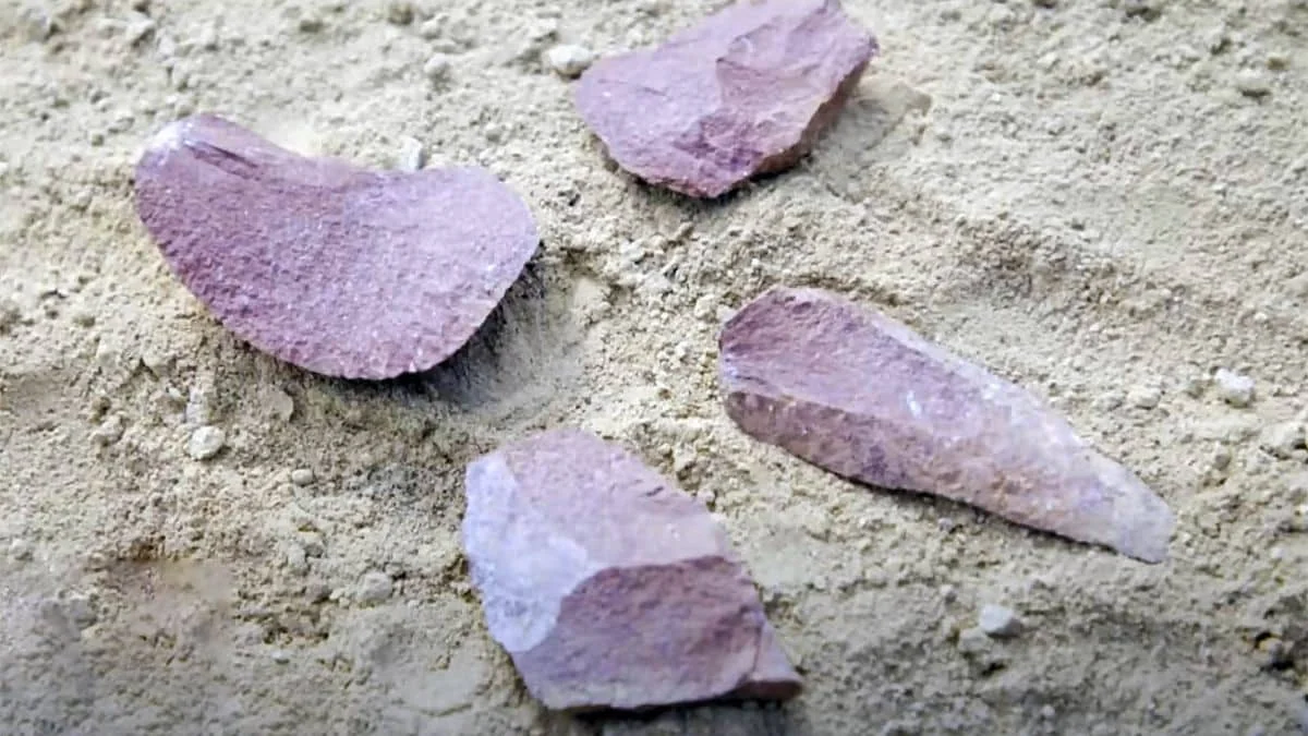 Wissenschaftler finden 3 Millionen Jahre alte Werkzeuge – aber sie wurden nicht von unseren Vorfahren hergestellt