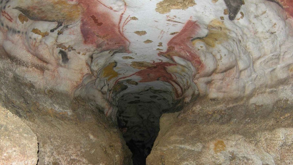 1940 folgte ein junge seinem hund durch eine lichtung und entdeckte eine höhle