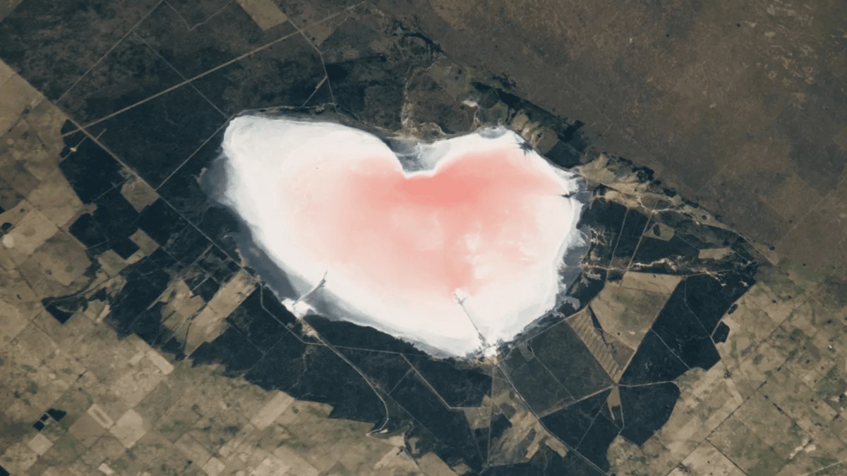 nasa beobachtet argentinien von der internationalen raumstation aus und entdeckt ein gigantisches rosafarbenes herz von fast 10 kilometern breite